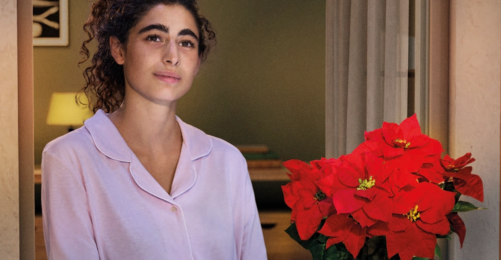 Donna con stella di Natale al davanzale di una finestra - Campagna AIL Natale 2025