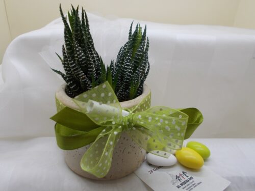 Bomboniera Porta piantina porta oggetti in terracotta