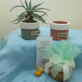 cod.VSA458 Portapiantine-porta oggetti vento dm7,5cm- h6,5cm - 3 assortiti